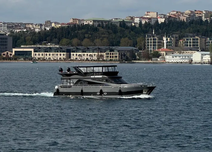 Boat Bosphorus Botel Istanboel